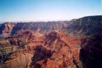 Voir l'image 2GC230ok104-11b.jpg : 