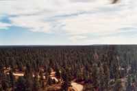 Voir l'image 2GC270ok182-02.jpg : 