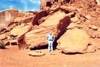 Voir l'image 3MV50ok106-14b.jpg : 