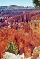 Voir l'image 5BR20ok119-07.jpg : 