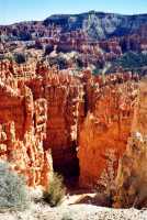 Voir l'image 5BRD0ok101-02b.jpg : 