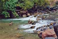 Voir l'image 6ZI10ok111-20.jpg : 