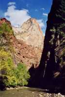 Voir l'image 6ZI21ok203-05.jpg : 