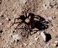 Voir l'image 8DV20ok109-02.jpg : 