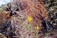 Voir l'image 8DV35ok109-11b.jpg : 