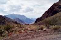 Voir l'image 8DV40ok109-08b.jpg : 