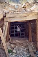 Voir l'image 8DVB1ok203-14.jpg : 