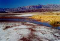 Voir l'image 8DVE0ok102-19.jpg : 