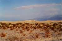 Voir l'image 8DVI0ok363-03b.jpg : 