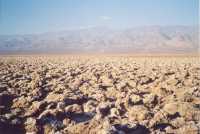 Voir l'image 8DVL0ok203-19b.jpg : 