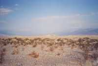 Voir l'image 8DVM0ok203-20b.jpg : 