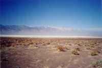 Voir l'image 8DVN0ok203-23.jpg : 