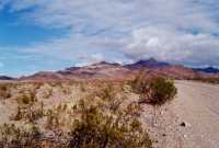 Voir l'image 8DVO0ok123-23.jpg : 