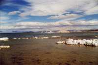 Voir l'image 9MO20ok363-08.jpg : 