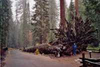 Voir l'image AYO20ok117-05.jpg : 