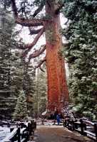 Voir l'image AYO30ok117-09b.jpg : 