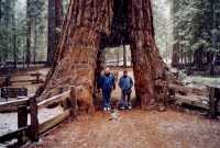 Voir l'image AYO40ok117-10b.jpg : 