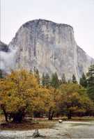 Voir l'image AYO90ok117-20b.jpg : 