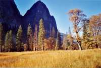 Voir l'image AYOA0ok110-_Xb.jpg : 