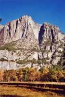 Voir l'image AYOC0ok110-01b.jpg : 