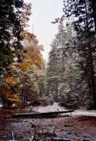 Voir l'image AYOE0ok117-07b.jpg : 