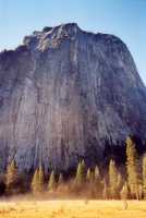 Voir l'image AYOF0ok117-23b.jpg : 