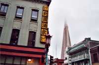 Voir l'image BSF60ok116-06b.jpg : 